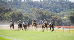 ToodyayCupDay_2018_054