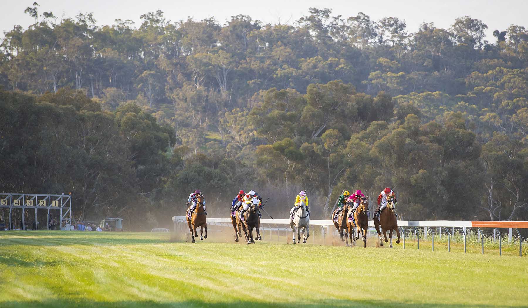 TABtouch Toodyay Picnic Race Day 